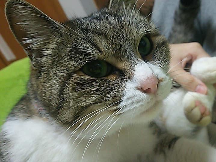 にいちゃん にいちゃん