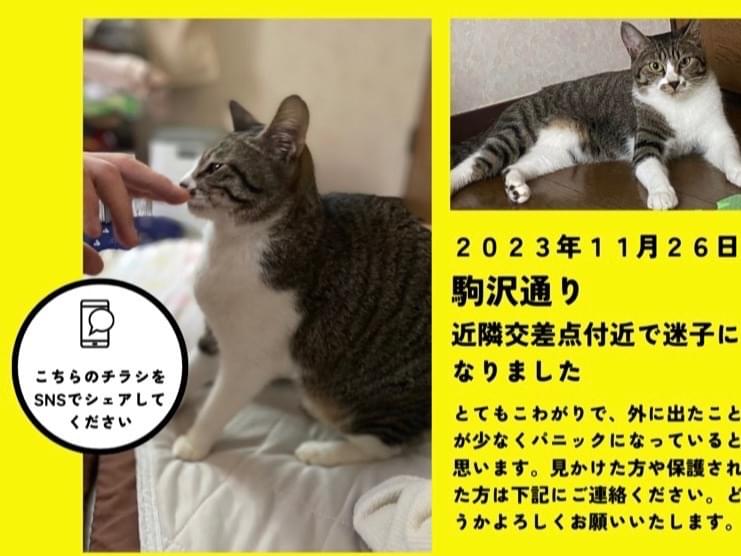 あんちゃん あんちゃん