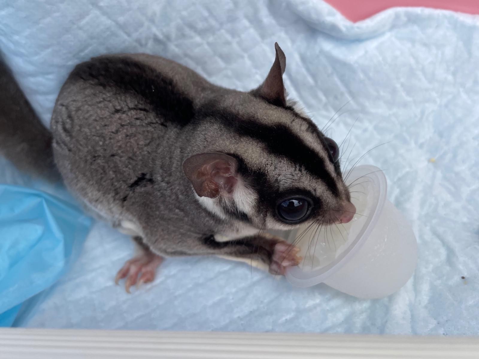 むーちゃん むーちゃん