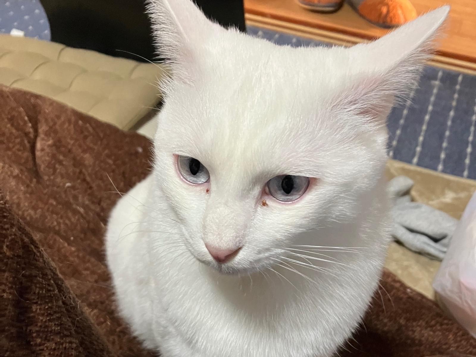 ソラちゃん ソラちゃん