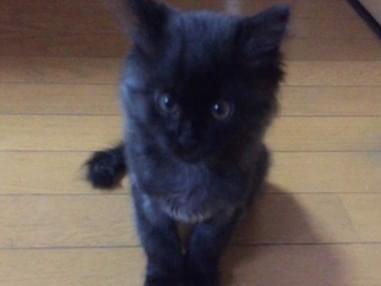 ララちゃん ララちゃん