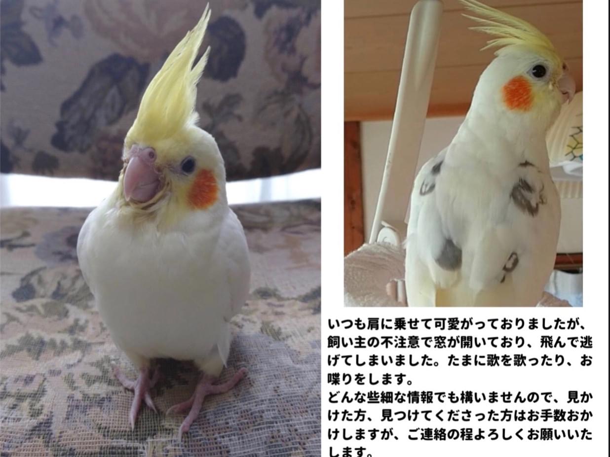 ゆずちゃん ゆずちゃん