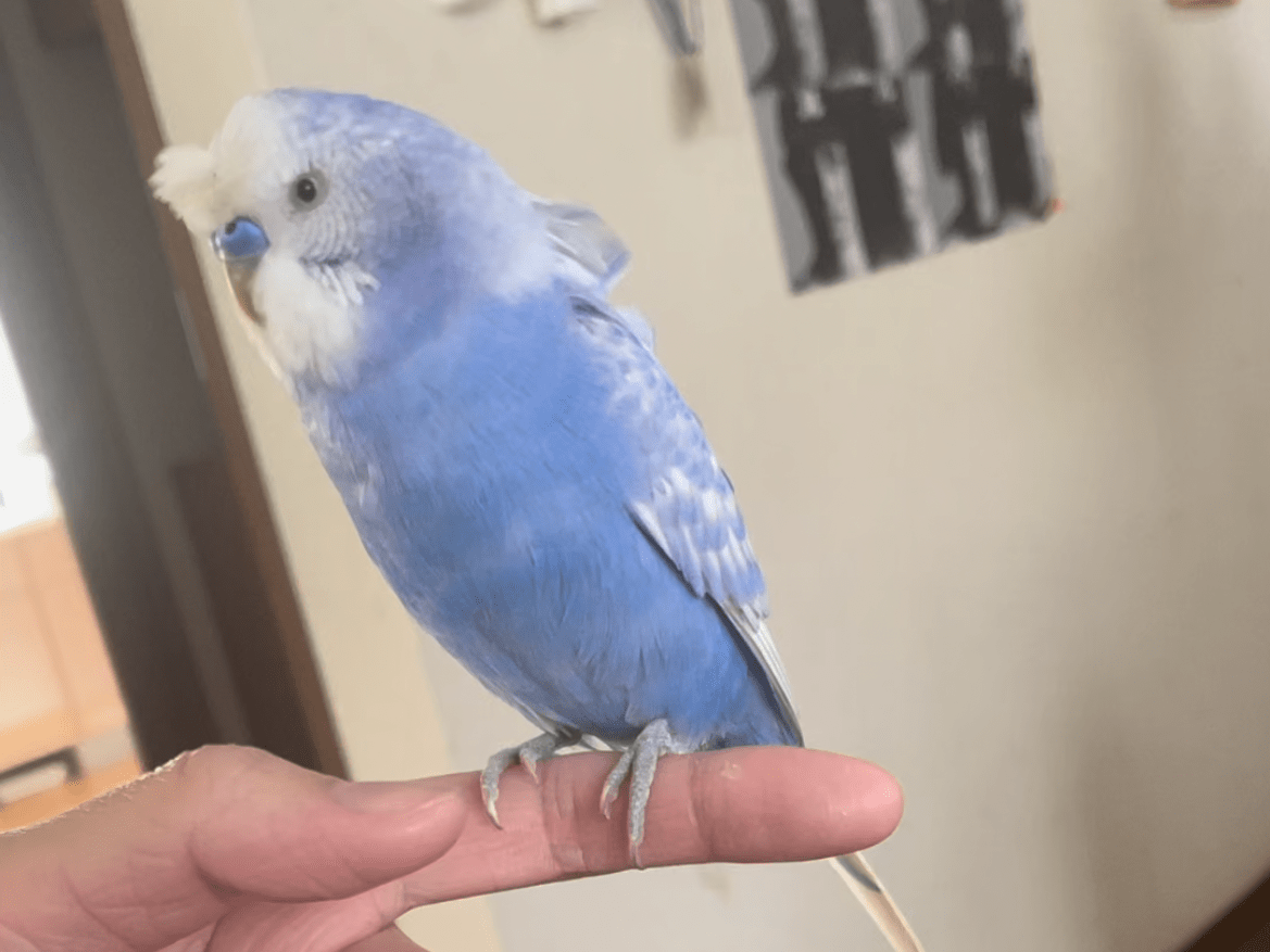 りーちゃん りーちゃん