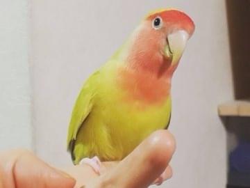 キキちゃん キキちゃん