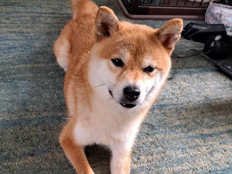 そらちゃん そらちゃん