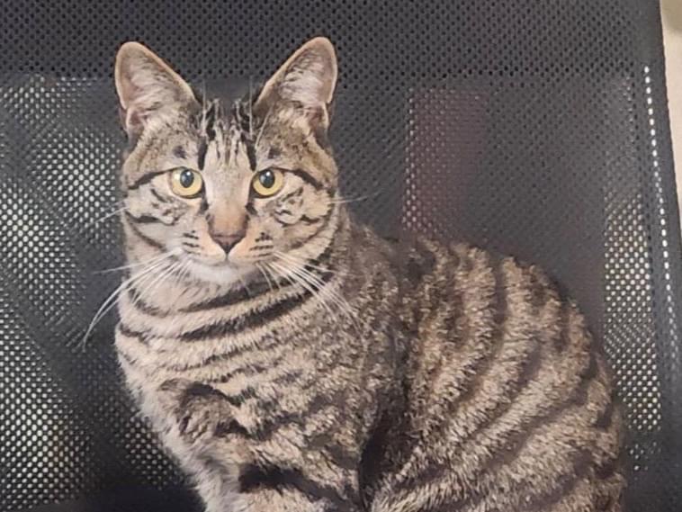 なるとちゃん なるとちゃん