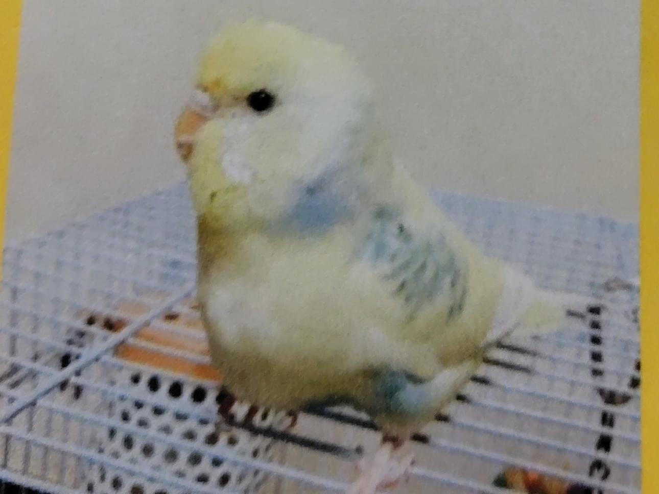 なっちゃん なっちゃん