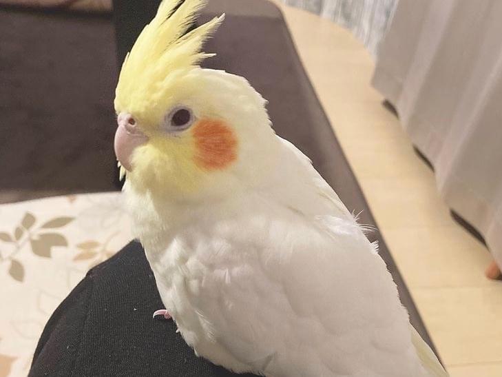 ゆずちゃん ゆずちゃん