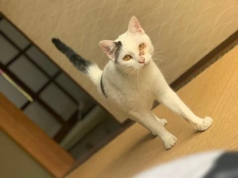 サラダちゃん サラダちゃん