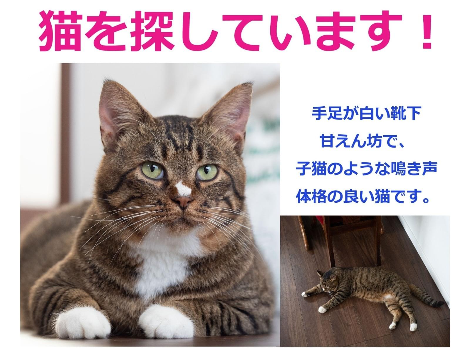 ちよちゃん ちよちゃん
