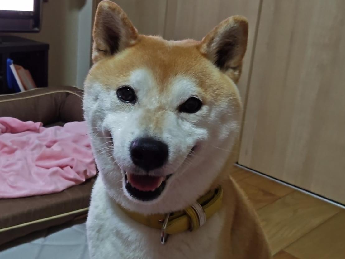 さんたちゃん