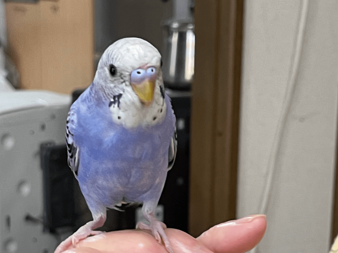 そらちゃん そらちゃん