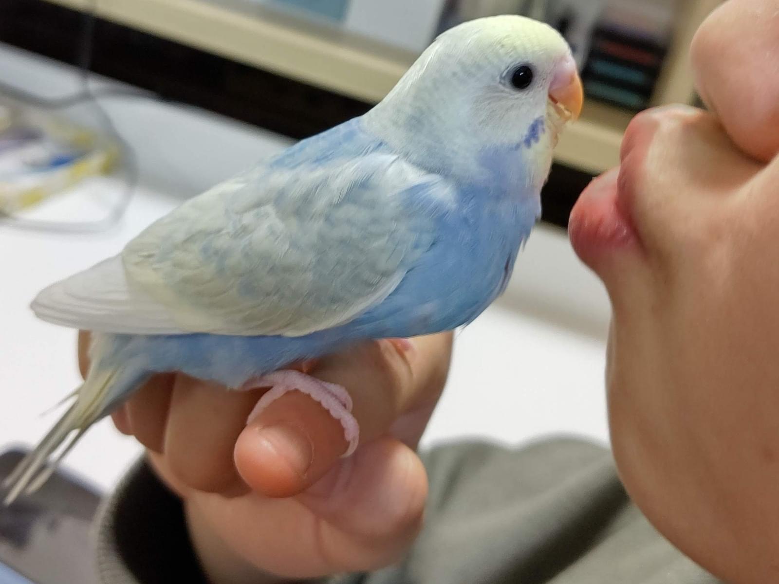 しおちゃん しおちゃん