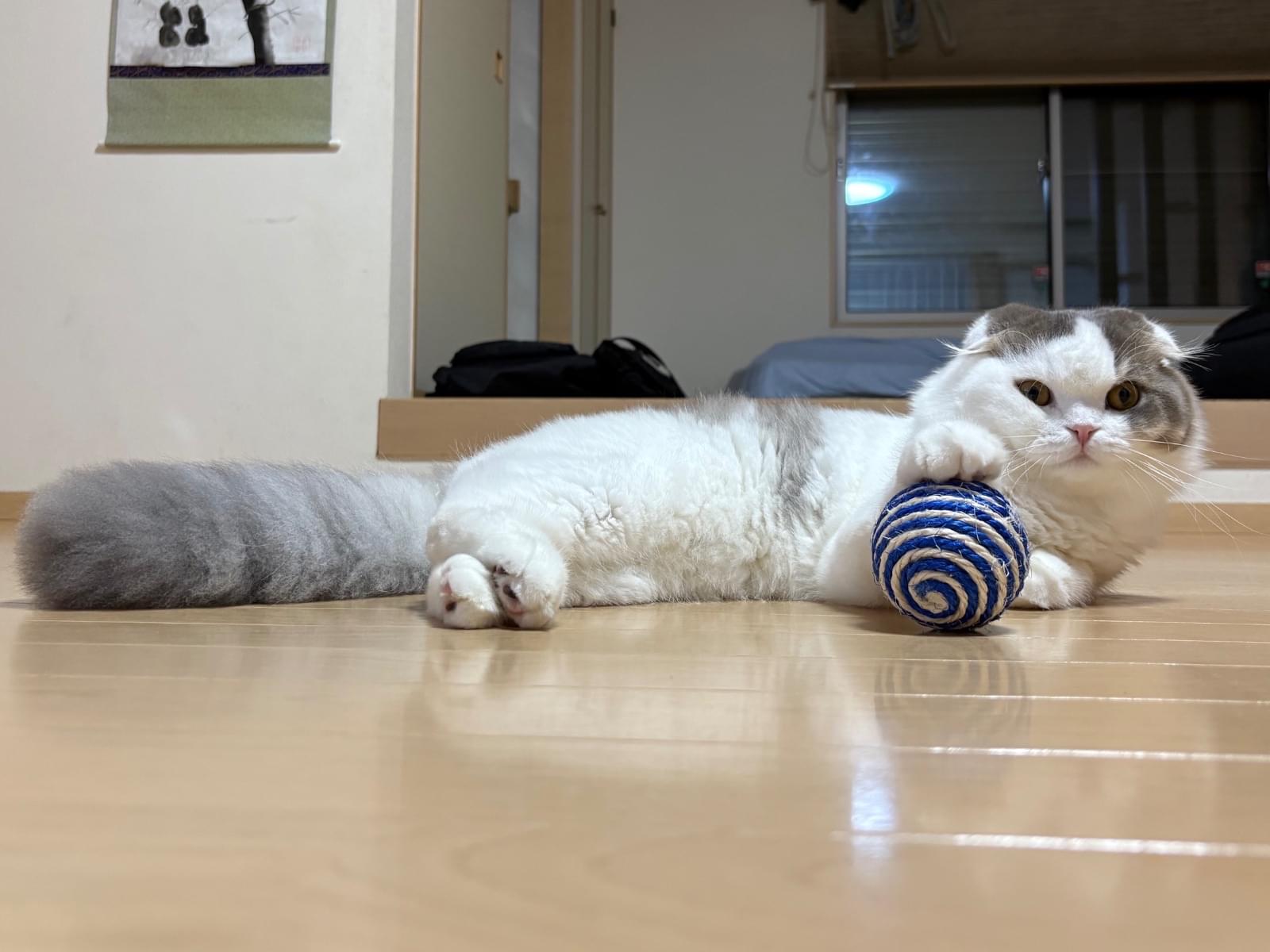 はちちゃん はちちゃん