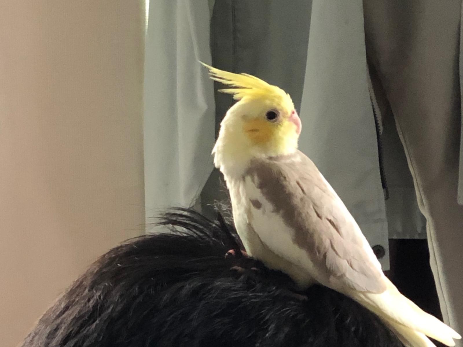 みかんちゃん みかんちゃん
