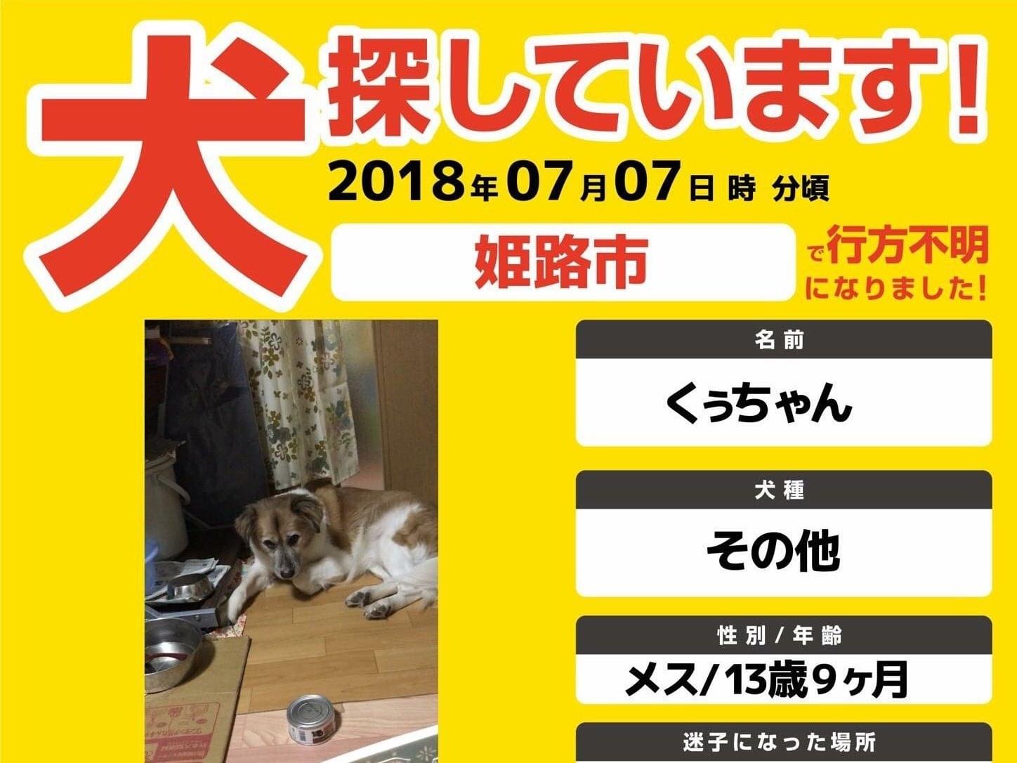 くぅちゃん くぅちゃん