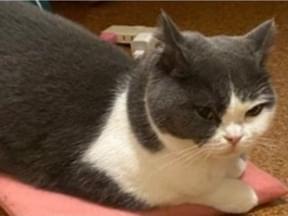 つきちゃん つきちゃん