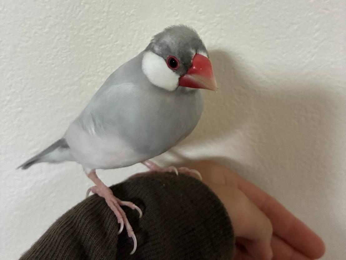 ちーちゃん