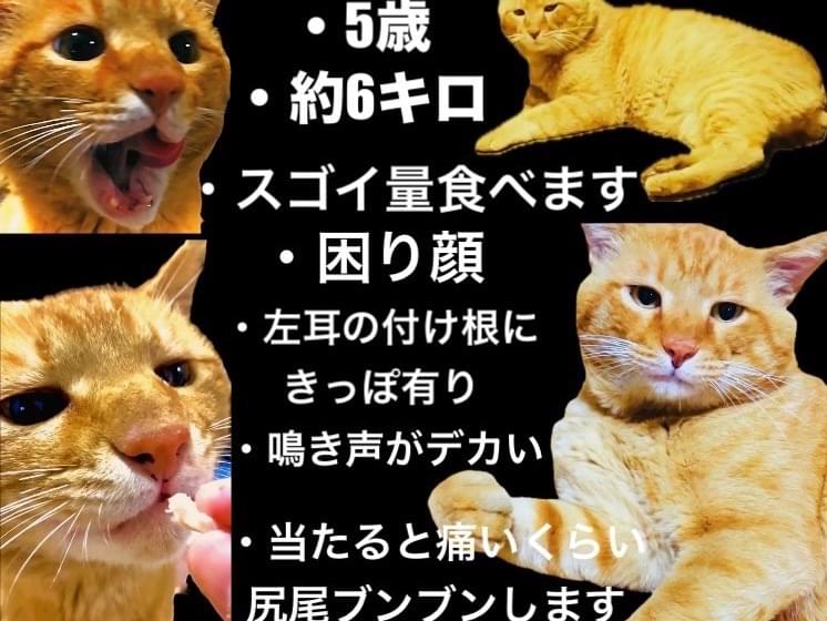 リッチちゃん リッチちゃん