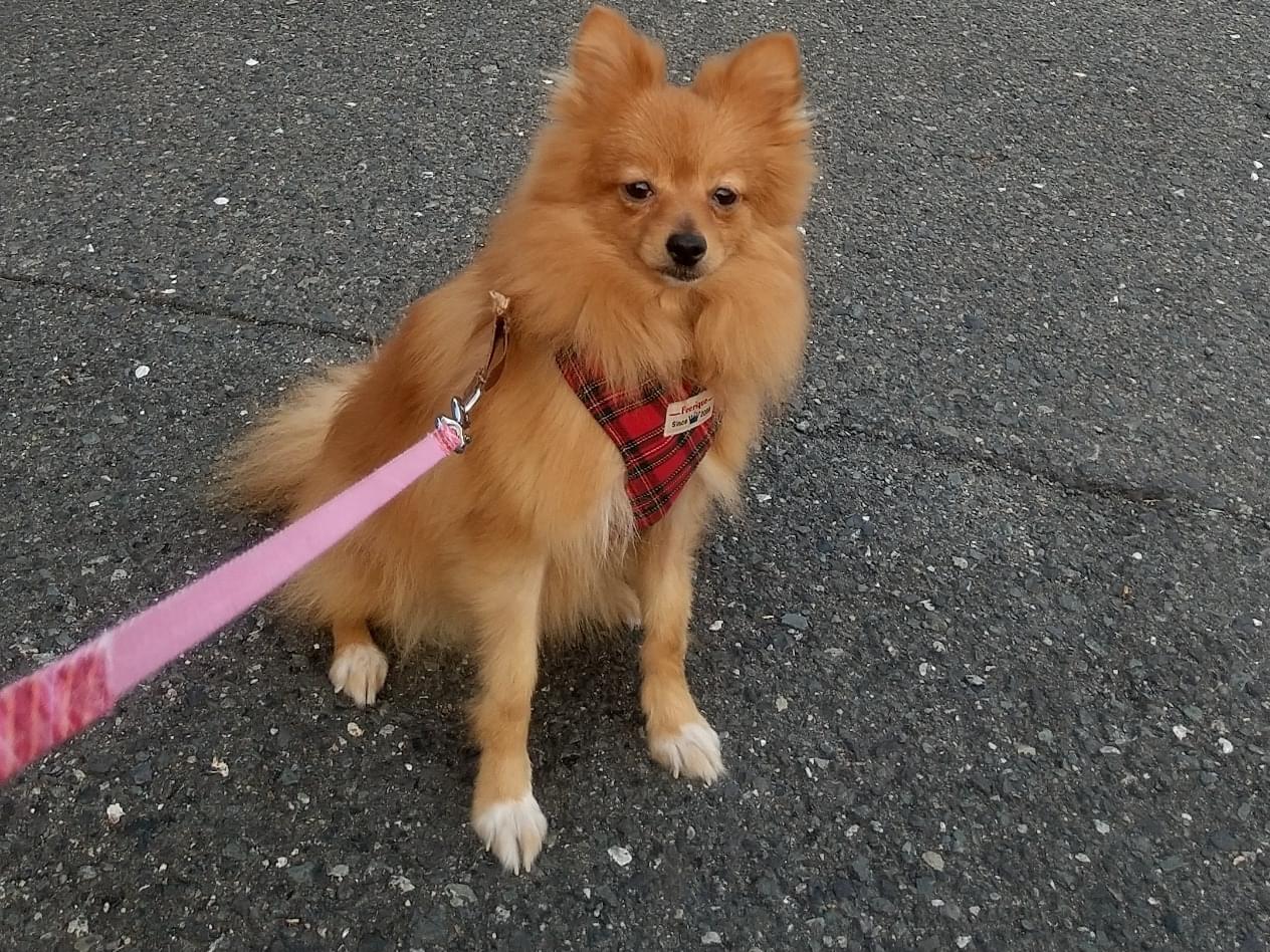 ヒメちゃん ヒメちゃん