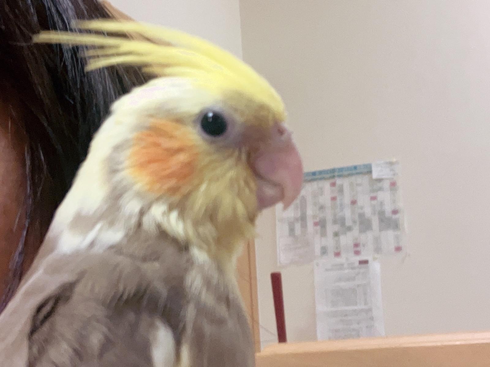レオちゃん レオちゃん