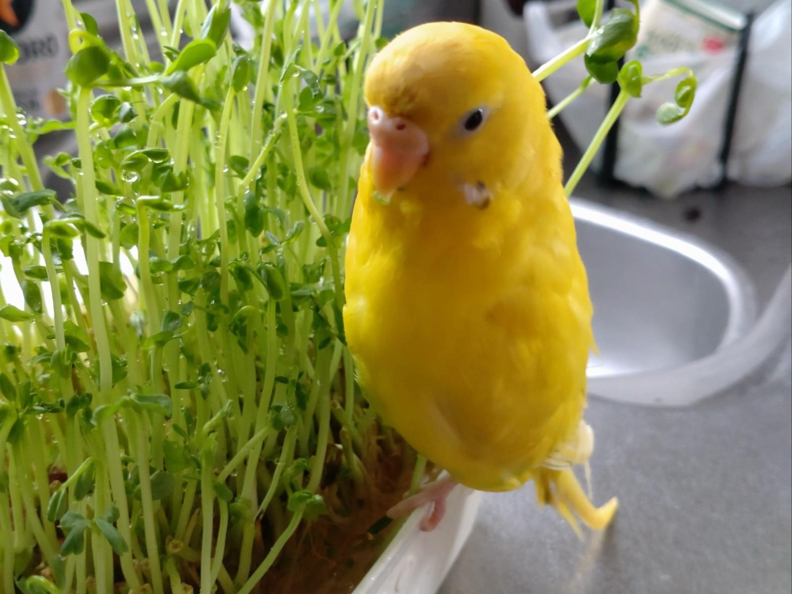 すずちゃん すずちゃん