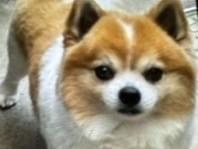 リリィくんちゃん リリィくんちゃん