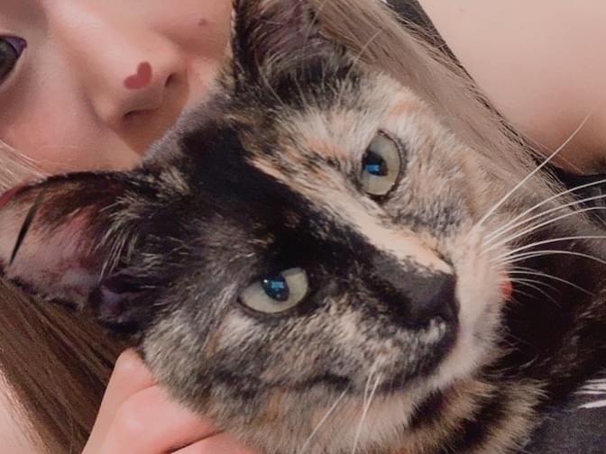 ショートちゃん ショートちゃん