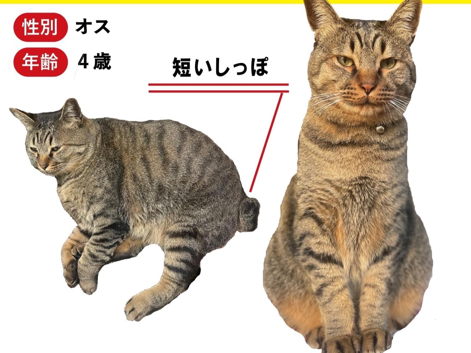 アントニオちゃん アントニオちゃん