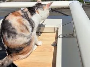 三毛猫~断捨離中~（感謝） サンライズ AIM30 室内避妊・去勢後成猫用 健康な尿路・毛玉ケア
