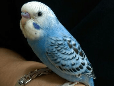 つむぎちゃん つむぎちゃん