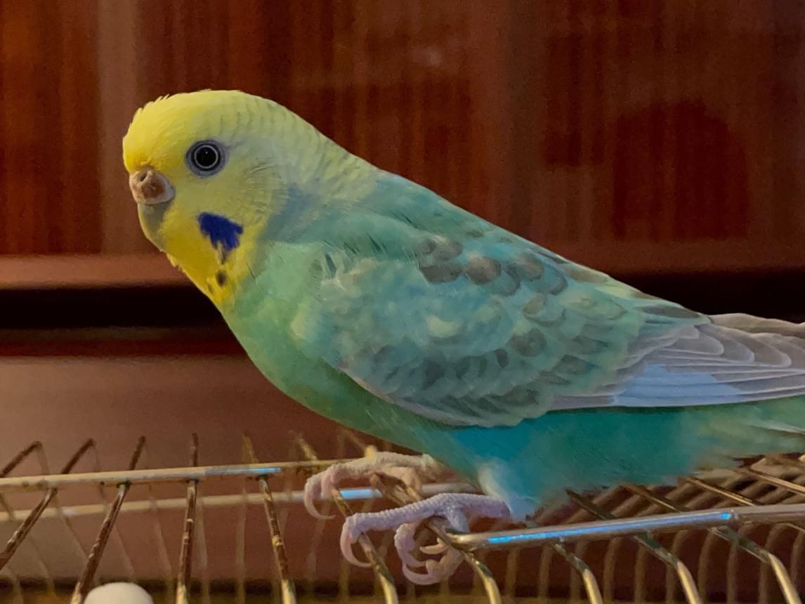 みーちゃん みーちゃん