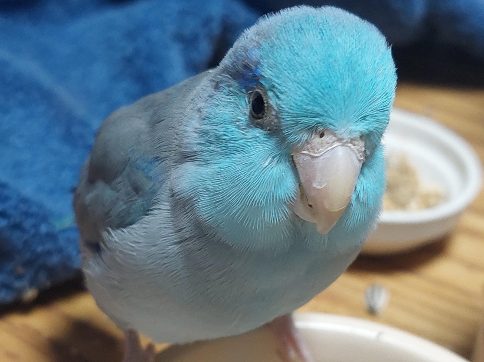 けいちゃん けいちゃん