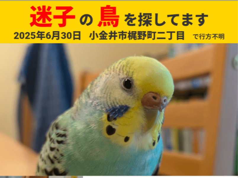 ライムちゃん ライムちゃん