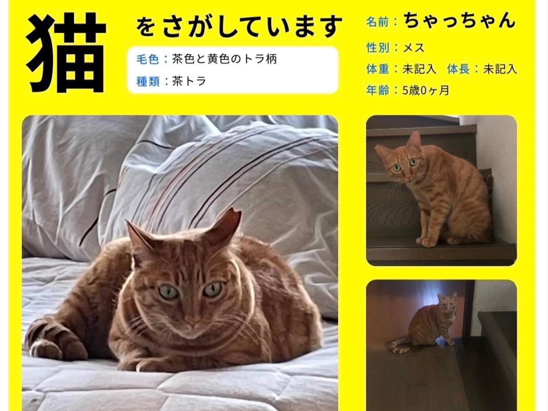 ちゃっちゃん ちゃっちゃん