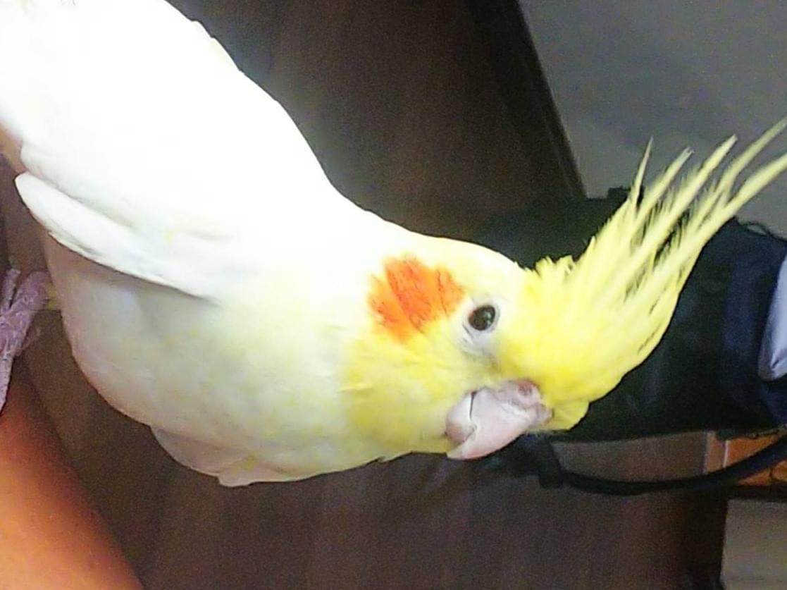 マルちゃん マルちゃん