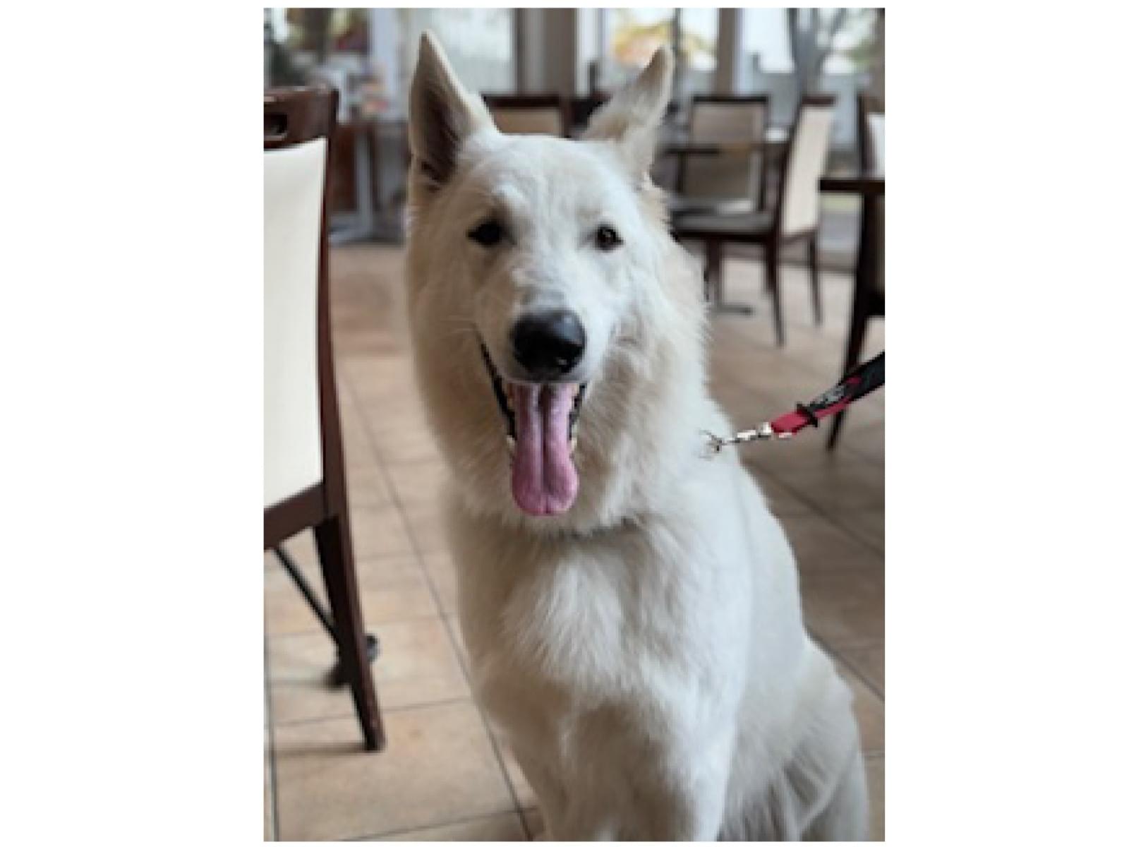 つぶらちゃん つぶらちゃん