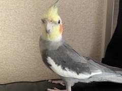 ずぅちゃん