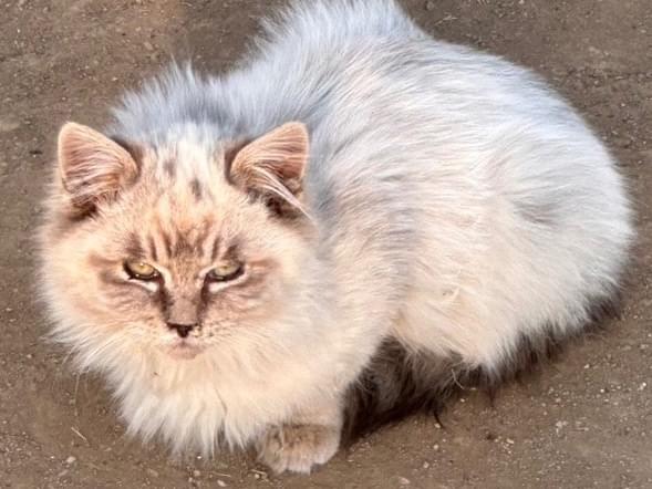 諭吉ちゃん 諭吉ちゃん