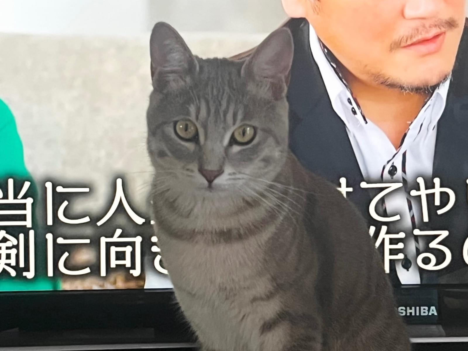 まるちゃん まるちゃん