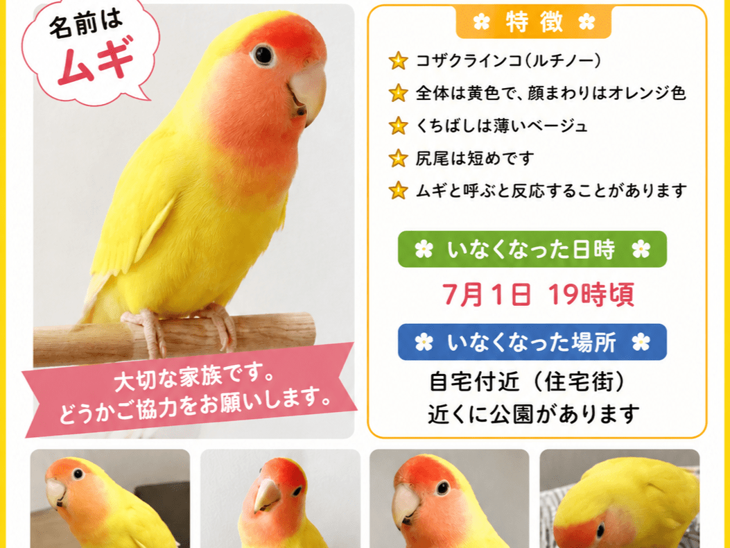 ムギちゃん