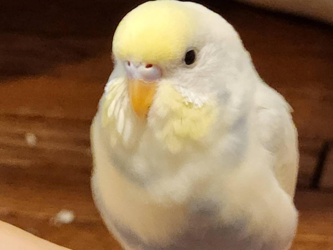 そらちゃん そらちゃん