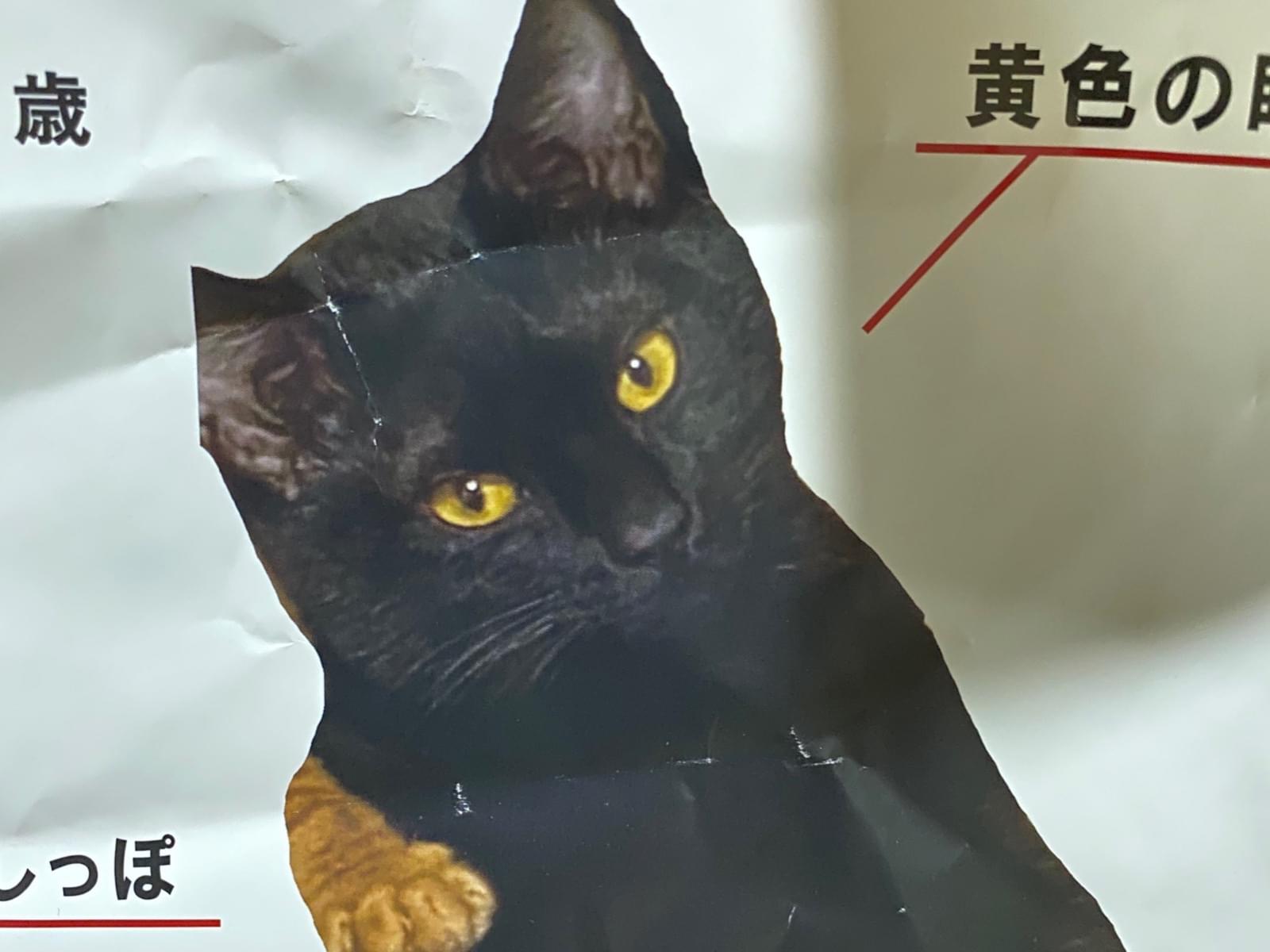 赤ちゃん 赤ちゃん