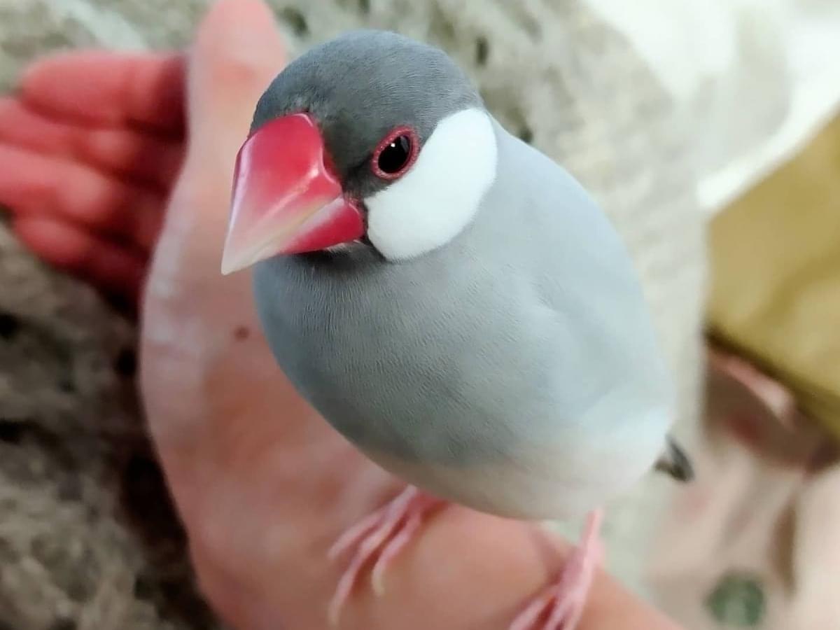 むつきちゃん むつきちゃん