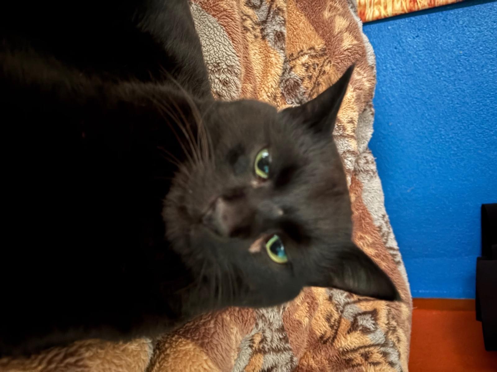 サラちゃん サラちゃん