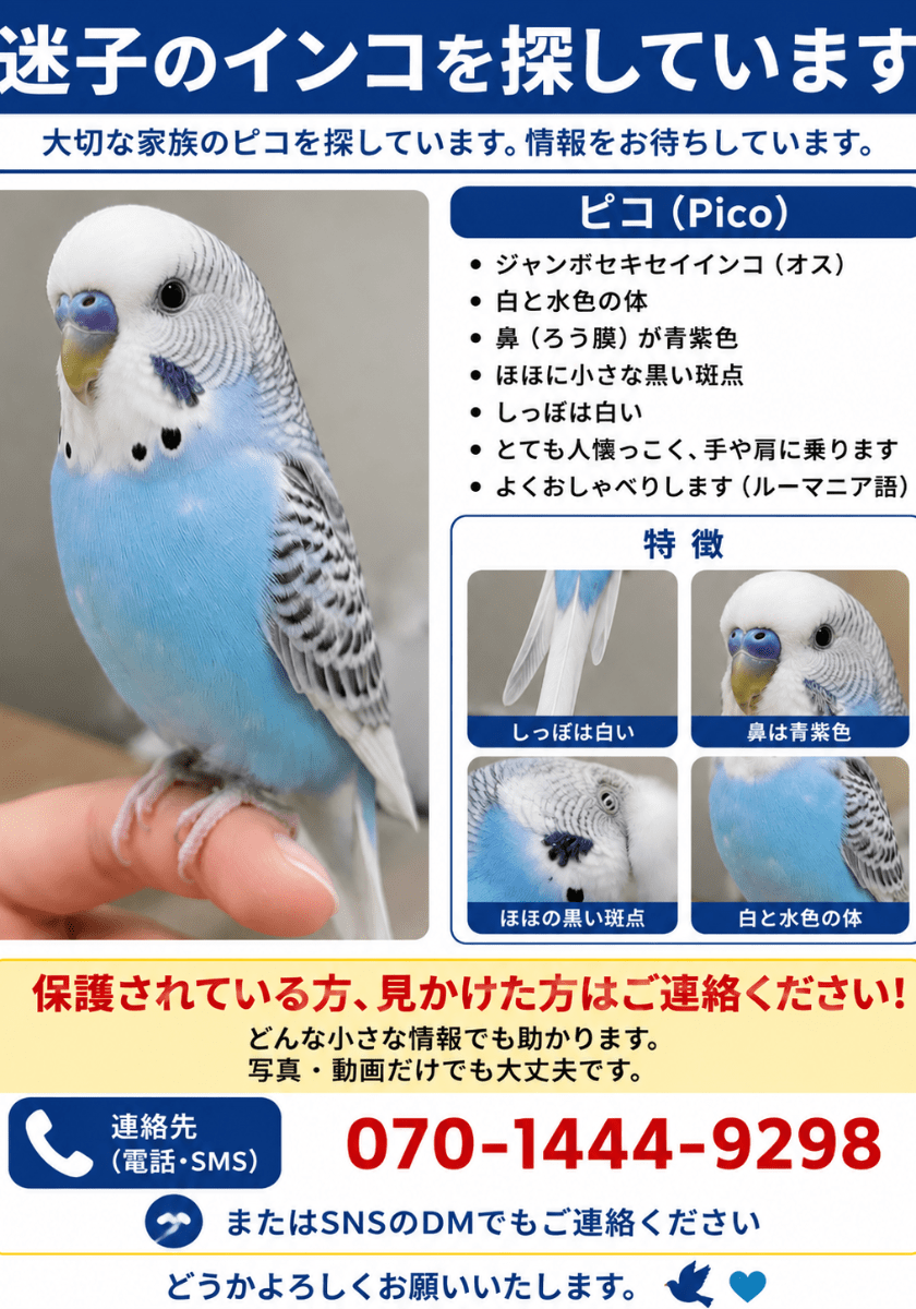 見つかったら教えてください