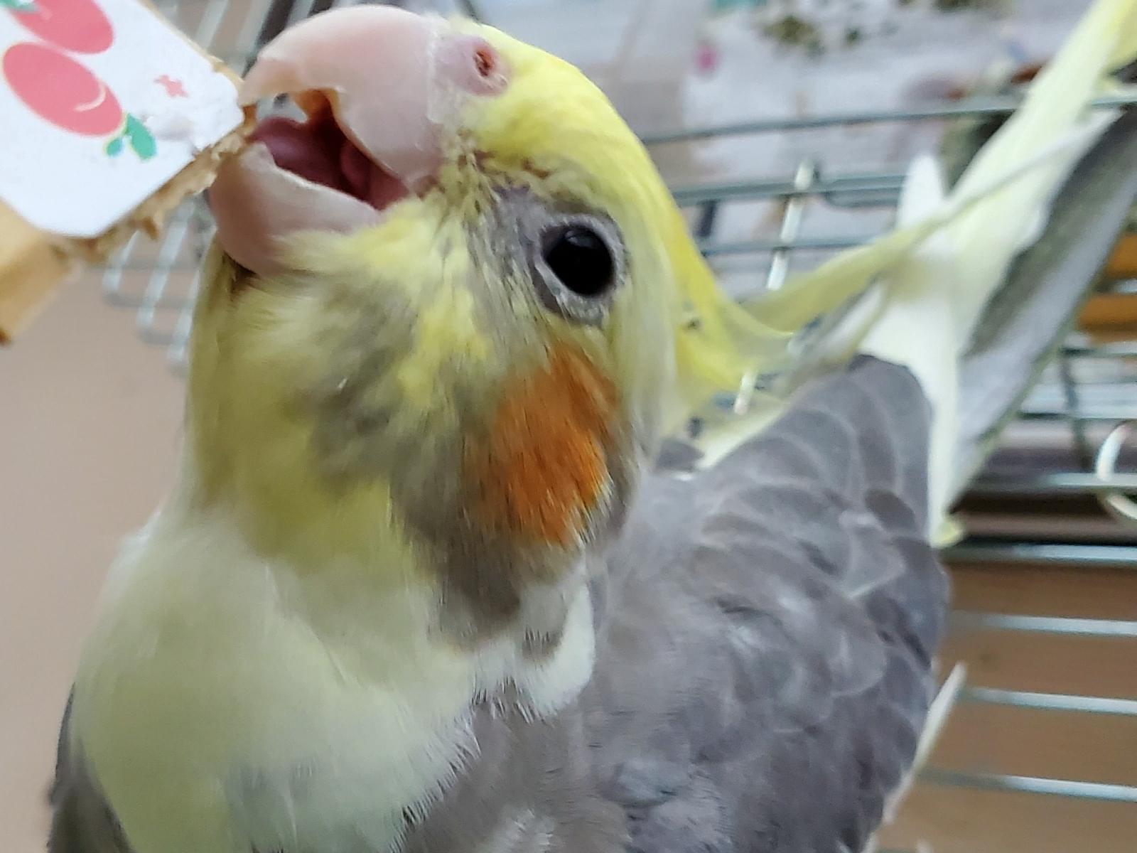 ムーちゃん ムーちゃん