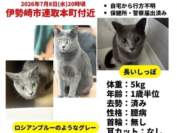 ココちゃん