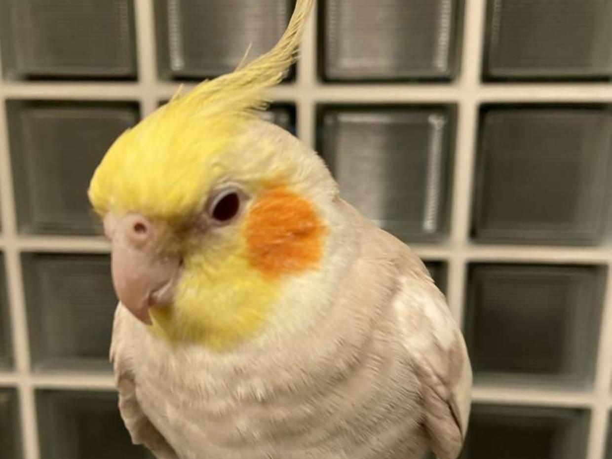 サラちゃん サラちゃん