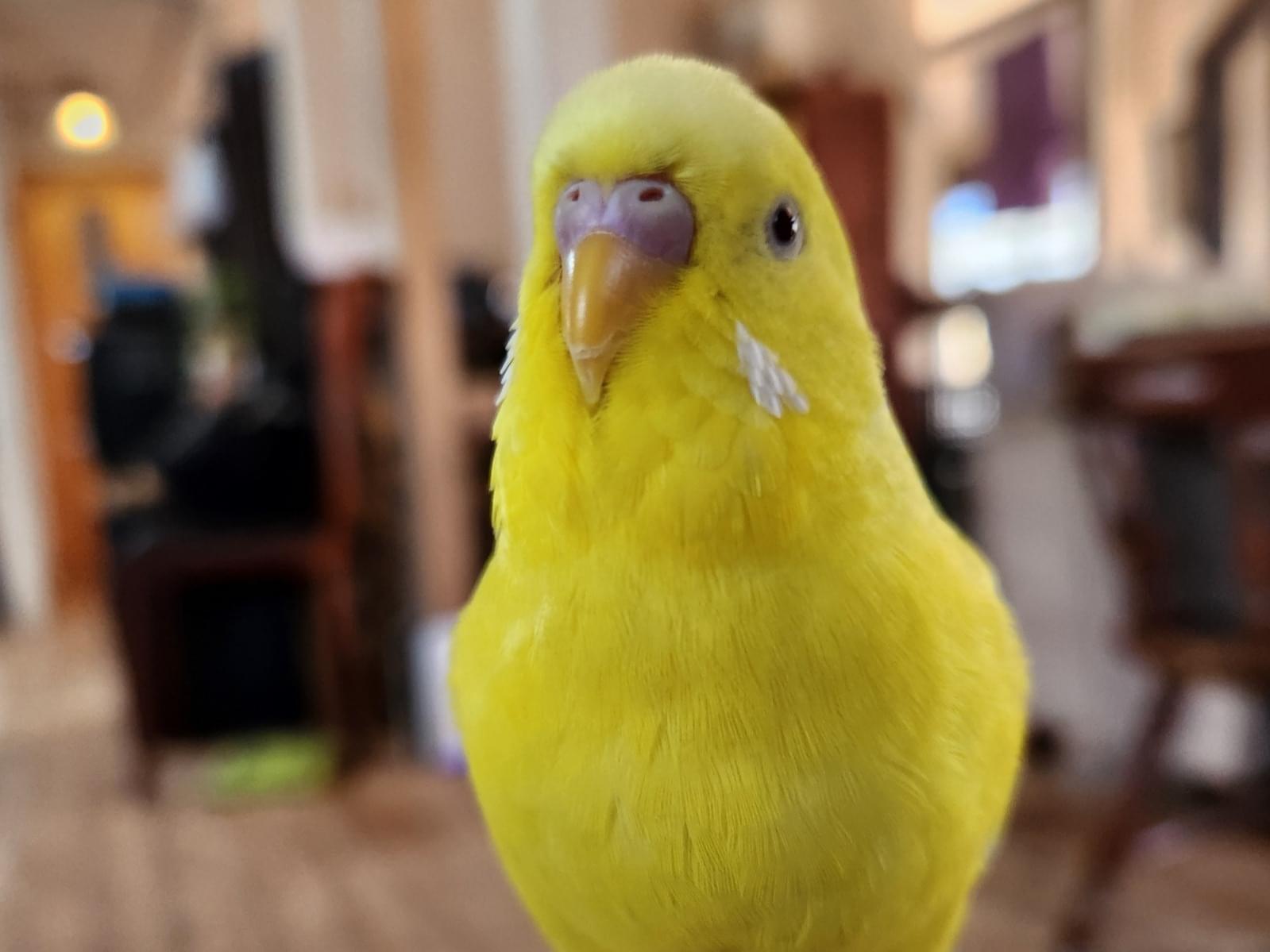 アリちゃん アリちゃん
